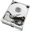 Seagate IronWolf 10TB