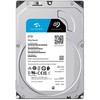 Serverio diskas Seagate SkyHawk + Sance 6TB 3.5 "SATA III (6 Gb / s) (ST6000VX009)