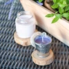 SES DIBYS „Własne Świeczki“