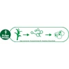 SES SES Karoliukai lyginimo mašinoms 3000 vnt 06404 64044