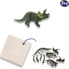 SES Creative – Kasinėjimas – Triceratops ir skeletas – (S25093)