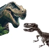 SES Creative – Kasinėjimas – T-Rex ir skeletas – (S25092)