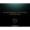 SHEBA veršienos padažo formelė 85 g