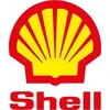 SKYSTIS AUŠINIMO SHELL LL ULTIMATE 4L