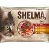 Kačių Maistas - SHELMA Drėgnas Kačių Maistas 340g Vištiena, Kalakutiena, Jautiena, Antiena