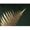 Shumee rinkinys iš 2 velour dekoratyvinių pagalvių su lapų motif 45 x 45 cm žalia FERN