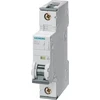 Siemens Grandinės pertraukiklis C6A 1P 220V DC 230/400V AC 10kA 5SY5106-7