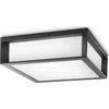 Sieninis šviestuvas Sieninis lauko šviestuvas PHILIPS SKIES, IP44, 2 x E27, max 14 W, 26x26x8,1 cm