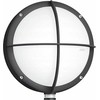 Sieninis šviestuvas Steinel LED šviestuvas 8.7W STEINEL L 331 LED su jutikliu, antracito spalvos