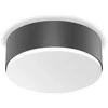 Sieninis šviestuvas Steinel LED šviestuvas 12 W 17 ced RS PRO A10 NW SC ANTHRACITE