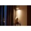 Signify Philips Hue Baltas & Color Ambiance Argenta lubinis šviestuvas baltas • 1 taškas