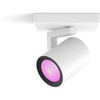 Signify Philips Hue Baltas & Color Ambiance Argenta lubinis šviestuvas baltas • 1 taškas