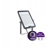 Naświetlacz Signify Philips Ledinaire Projektør Stor All-in BVP169 15000lm/830-840-865 135W IP65 Asymmetrisk