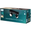Signify Philips Star Spot 2 flg. juodas 1000lm