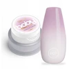 Silcare Clavier Nailsology Baby Boomer 3in1 gelis P07 Florelle 3g