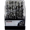 Grąžtas SILVER grąžtai METAL balta KPL. 25szt. /Sidabrinis