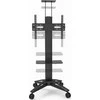 Laikiklis Sinor TVS30B ribojimas 32" - 70"