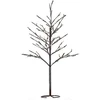 Sirius Isaac Tree, H1,2m Øxxcm, ruda/snowwhite