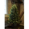 Sirius Sirius Anni Tree, H1,8m+5m , /234L, žalias