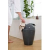 Šiukšliadėžė Koziol Šiukšliadėžė DEL S, 5 l, KOZIOL
