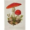 Skona Ting Virtuvinis rankšluostis - Toadstool