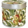 Skona Ting Scented candle 204 - obelis - obuolių kvapas