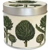 Skona Ting Fragance žvakė 163 - artichoke citrinos kvapas