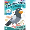 Skrzat Wydawnictwo Kolorow.su tatuaż.Zwierzęta miejskie 73003
