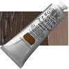 SmartMax Prof Acrylic 60 ml Deginto umbros spalva 076