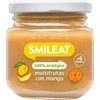 Ekologiškas desertas kūdikiams po 6 mėnesių Multifruit su Mango Smileat 130g
