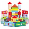 Klocki drewniane Smily Play SPW84941 49412