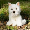 Smily Play pliušinis Westie