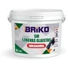 Briko FINE-GRAINED PUTTY BRIKO SM 3 L