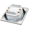 Solarix lizdas 2 x CAT5e UTP RJ45 įleidžiamas baltas SX9-2-5E-UTP-WH