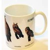 Soliton Owl taurė