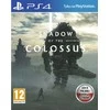 Bluepoint Games „Shadow of the Colossus“ – „PlayStation 4“