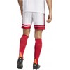 adidas Squadra 25 M JH3404 šortai