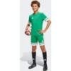 Šortai vaikams adidas Squadra 25 žalia JN7484 (140cm)