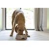 Sourcing BOWL FOR DOGS MEIS CREAM 700ML