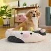 Sourcing JAS PETS guolis S 50CM KRÓWKA