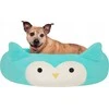 Sourcing JAS PETS guolis S 50CM Pelėda
