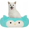 Sourcing JAS PETS guolis S 50CM Pelėda