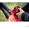 Skil_Red Akumuliatorinis lapų pūstuvas Skil GB1E0331CA