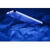 „Cellular Line Cellularline Impact Glass“ – grūdintas apsauginis stiklas, skirtas „Apple iPhone 15“ / „Apple iPhone 15 Pro“.
