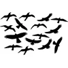 Sourcing Swissinno Bird window sticker (5 pcs of bird collision prevention stickers)