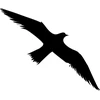 Sourcing Swissinno Bird window sticker (5 pcs of bird collision prevention stickers)