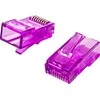Spacetronik RJ45 kištukas, pralaidumas, 6 kat. UTP PT-RJ456UP-1, 100 vnt.