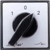 Spamel Cam jungtis 1.0-2 2P 15A (LK15- 2.8338P03)