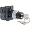 Spamel Jungiklis 3 padėties raktas 22mm juoda 1Z (ST22-SAA-10)