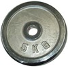 Spartan Chromuota plokštė KUBISPORT gimnastikos strypams 5kg 30 mm